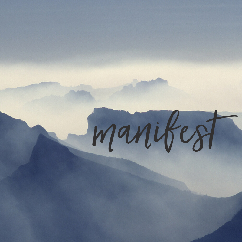 Manifest your goals